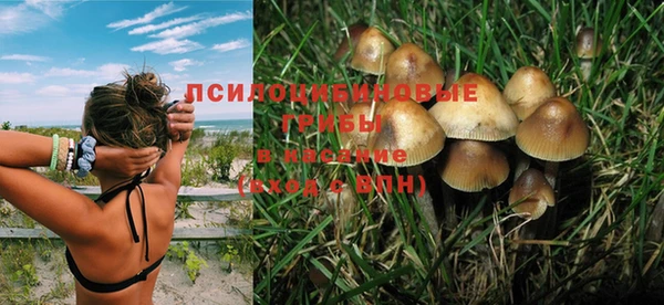 молекула духа Алексин