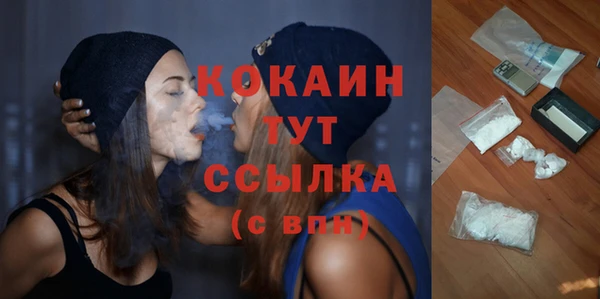 молекула духа Алексин